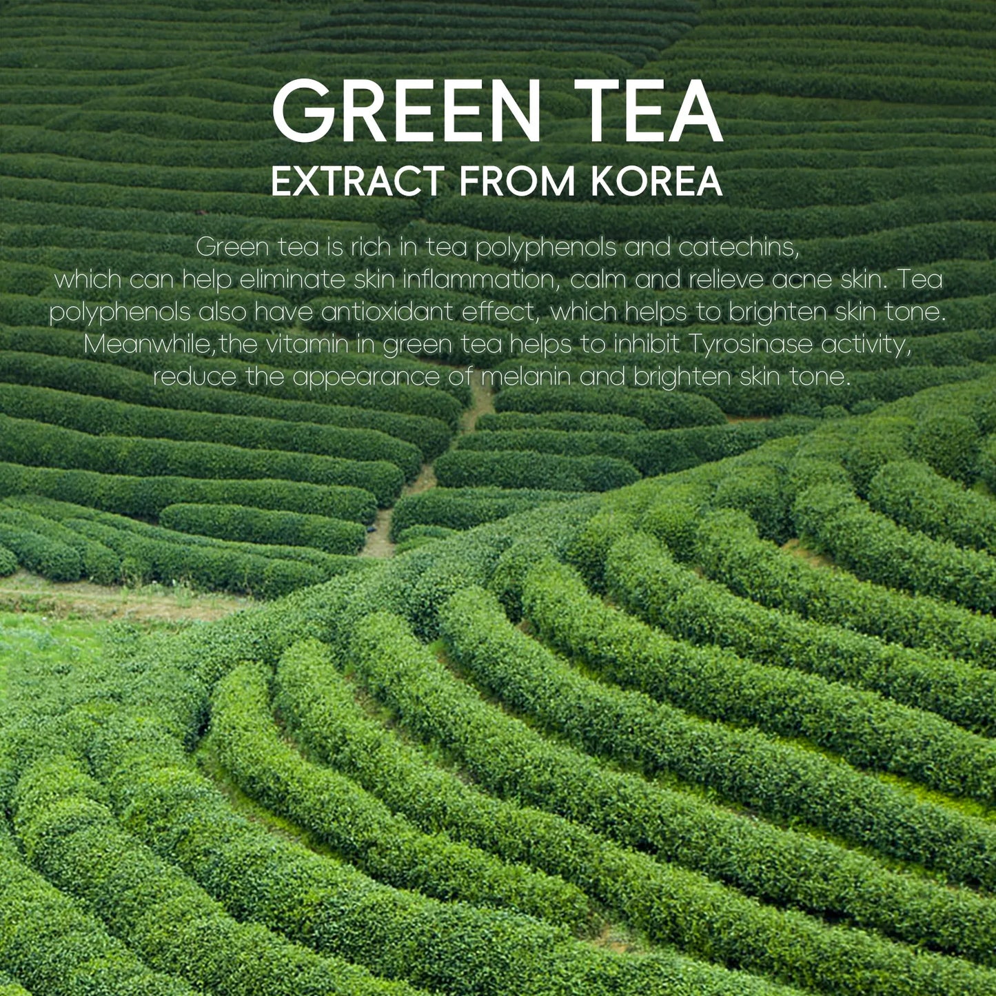 TeaPure Cleanser – pure green tea freshness