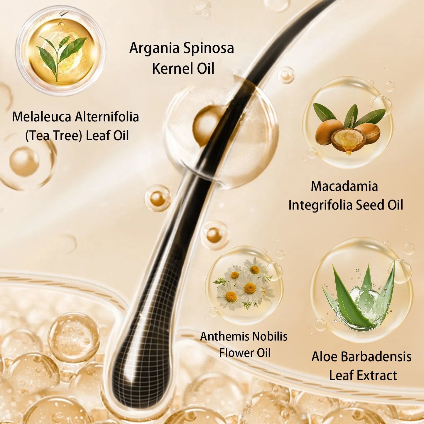 Reviora Oil – revive + aura, for renewed, glowing hair